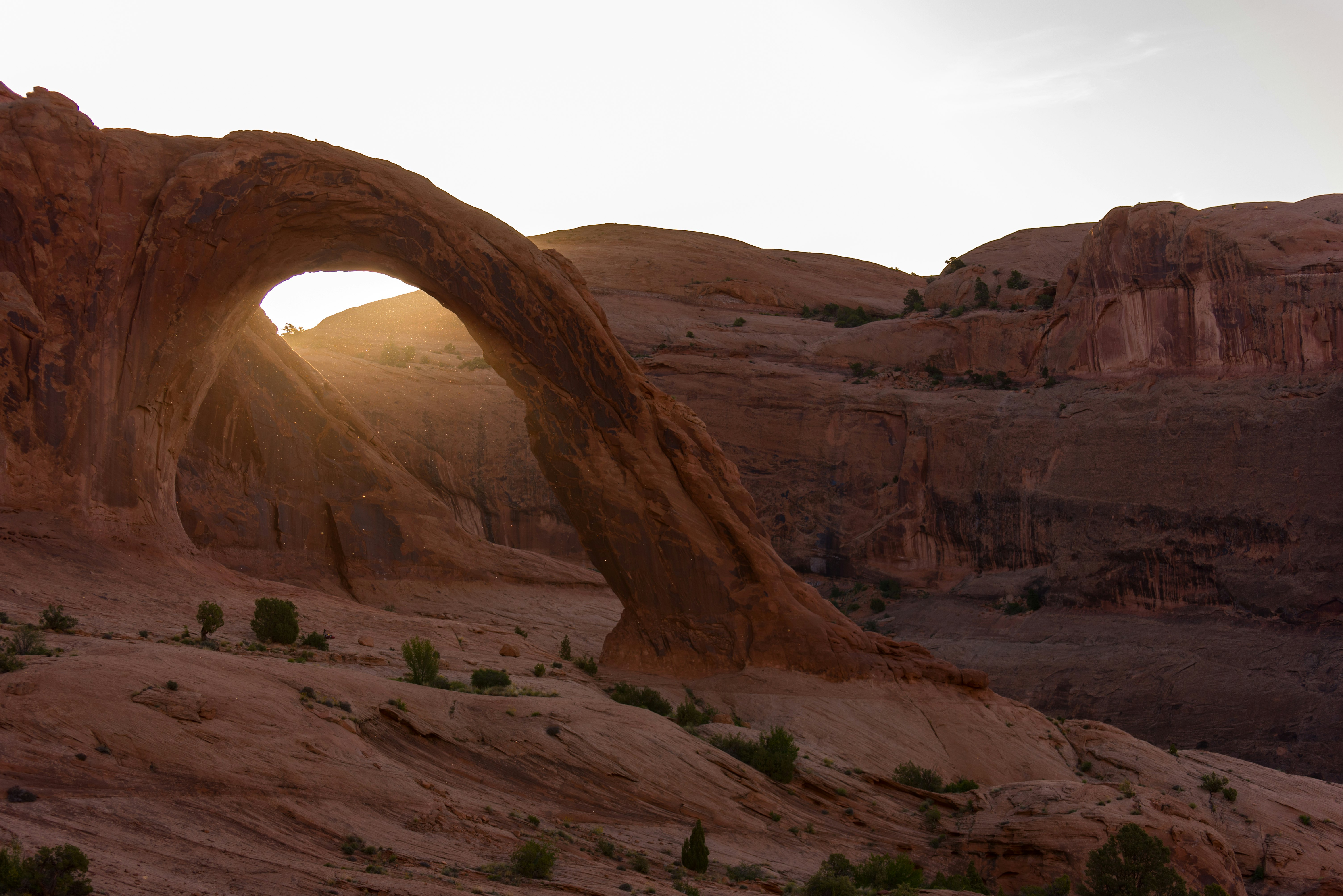 elephant trunk rock formation